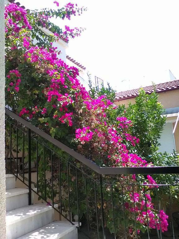 Aegina'S Flowers House Exteriér fotografie
