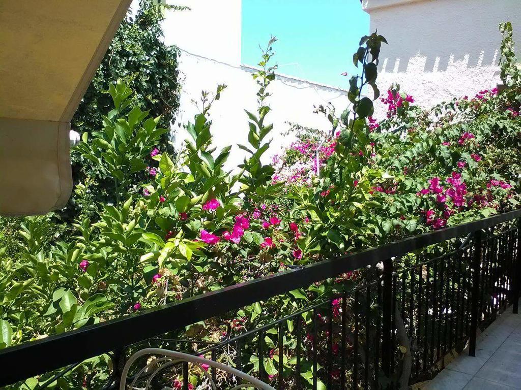 Aegina'S Flowers House Exteriér fotografie
