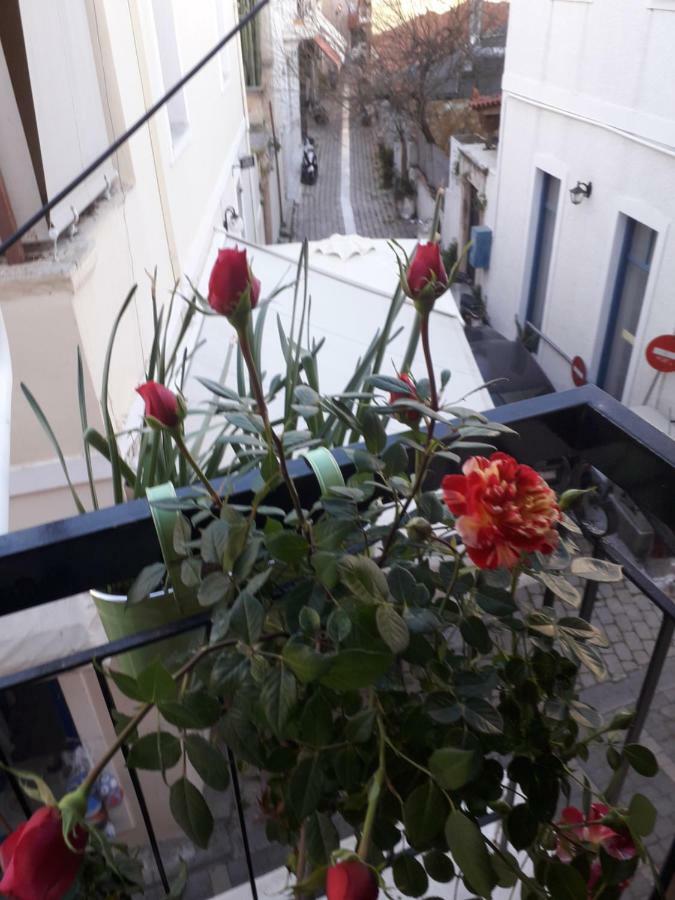 Aegina'S Flowers House Exteriér fotografie