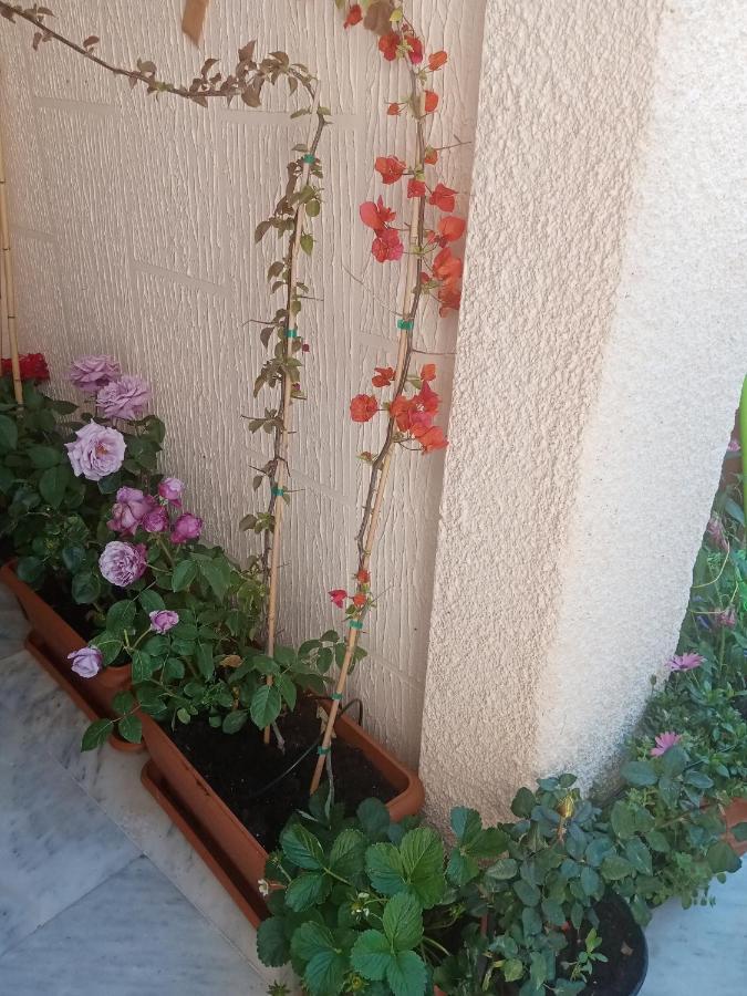 Aegina'S Flowers House Exteriér fotografie
